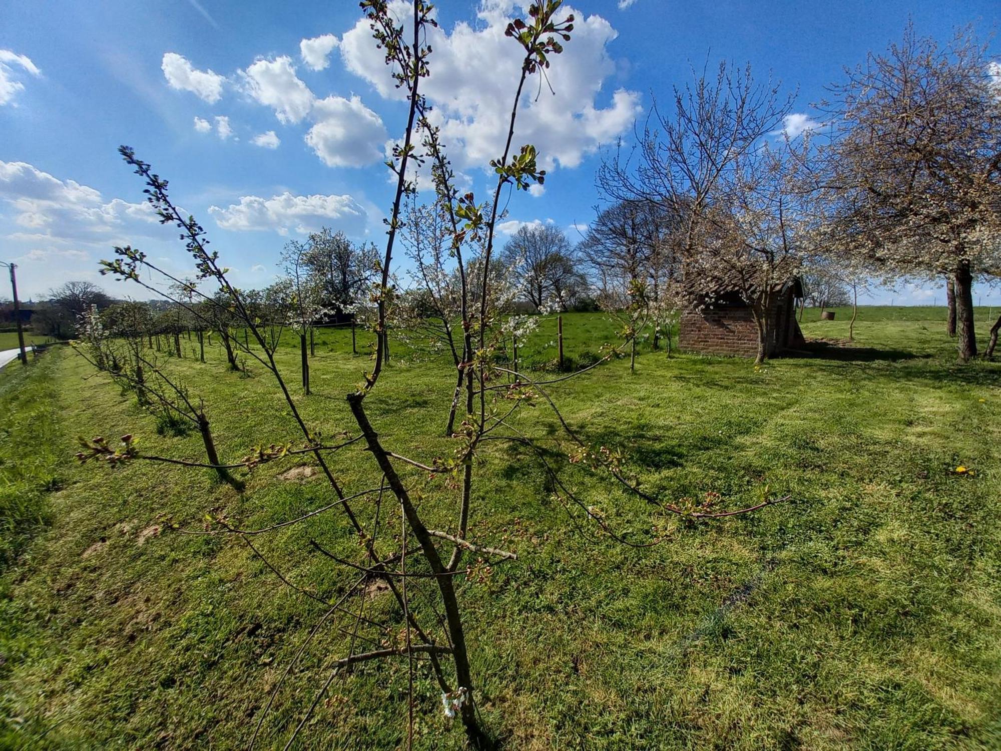 Trionfo Bed and Breakfast Gaasbeek Εξωτερικό φωτογραφία